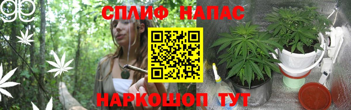 Конопля планчик Медногорск